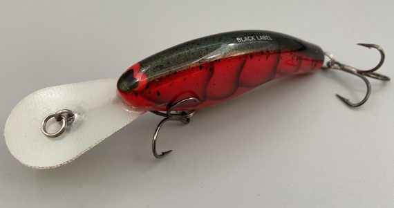 SLIM DD - FIRE CRAW - Image 2