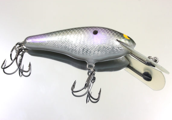 SS SHAD SHIMMER SHAD SSSHSH