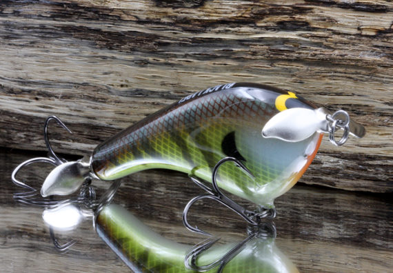 TEASE BOLD BLUEGILL TEBLBG 2